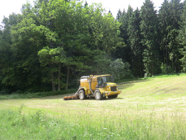 CIMG7924.jpg
