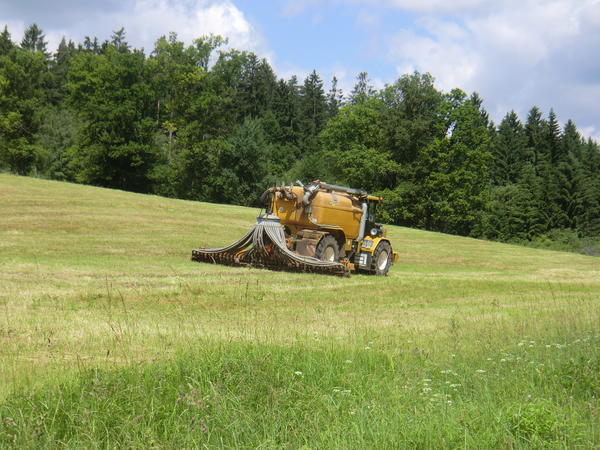 CIMG7926.jpg