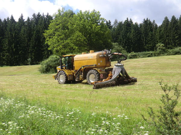 CIMG7930.jpg