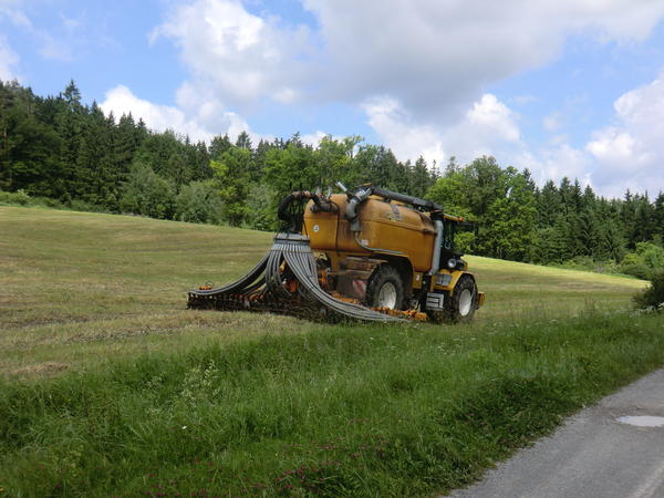 CIMG7935.jpg