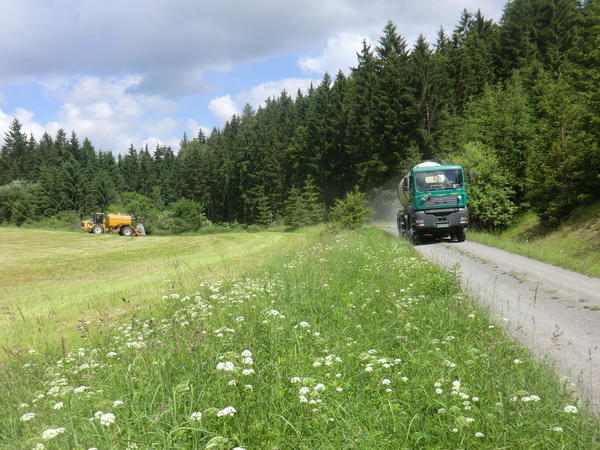bilder/1_7_2013/CIMG7938.jpg