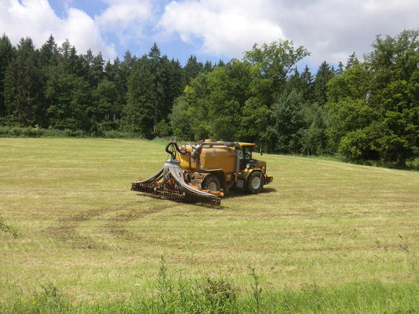 bilder/1_7_2013/CIMG7941.jpg