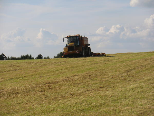 CIMG7952.jpg
