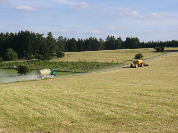 bilder/1_7_2013/CIMG7954.jpg