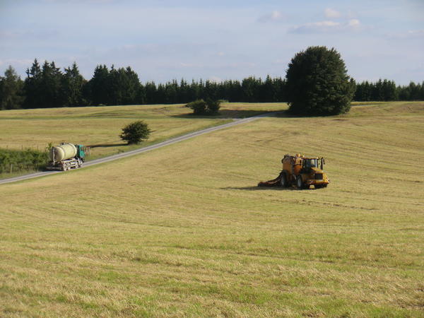 CIMG7957.jpg