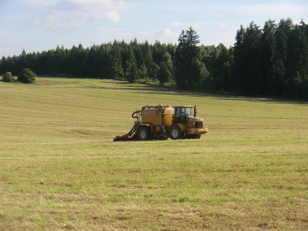 CIMG7958.jpg