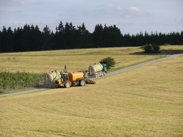 bilder/1_7_2013/CIMG7965.jpg