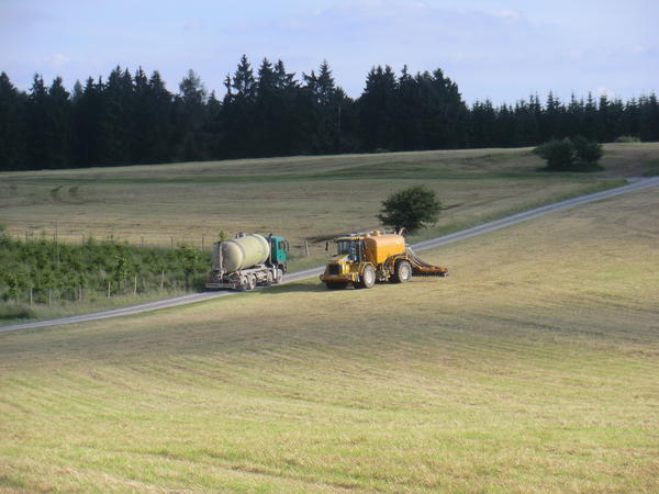 bilder/1_7_2013/CIMG7967.jpg
