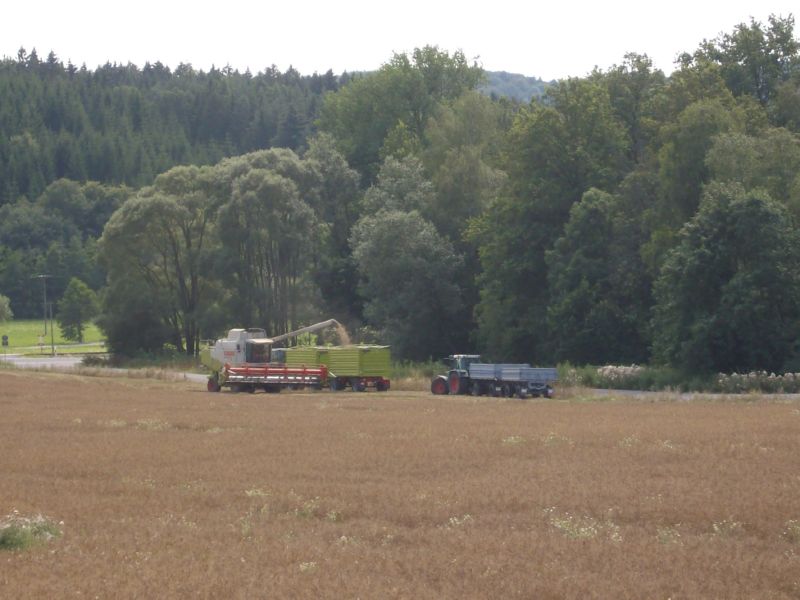 IMGP2309.jpg