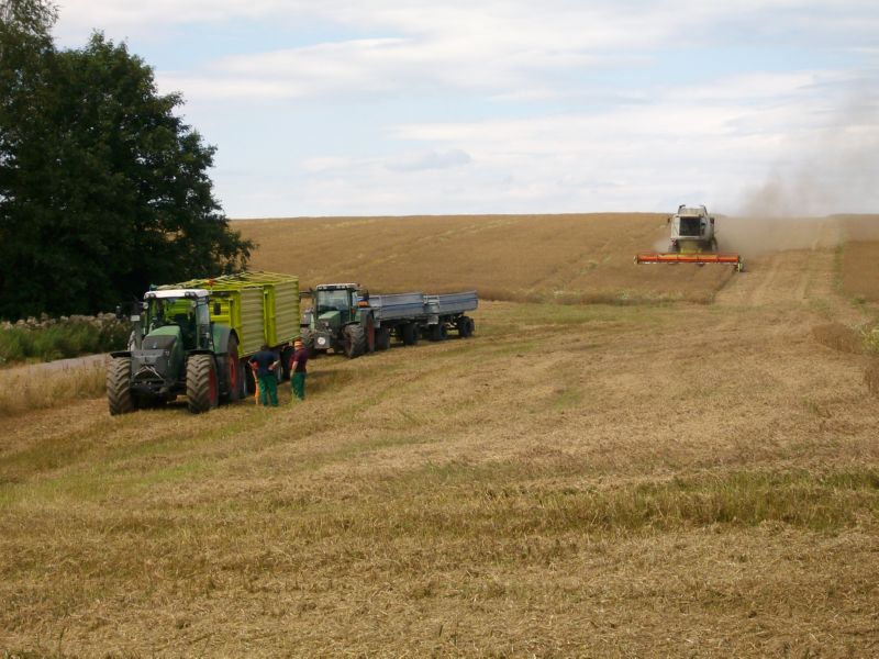bilder/2_5_2003/fendt_716_25.jpg