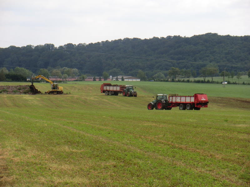 bilder/1_8_2011/CIMG3943.jpg