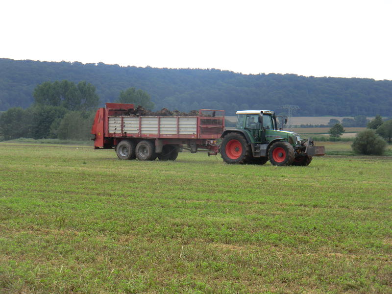 bilder/1_8_2011/CIMG3947.jpg