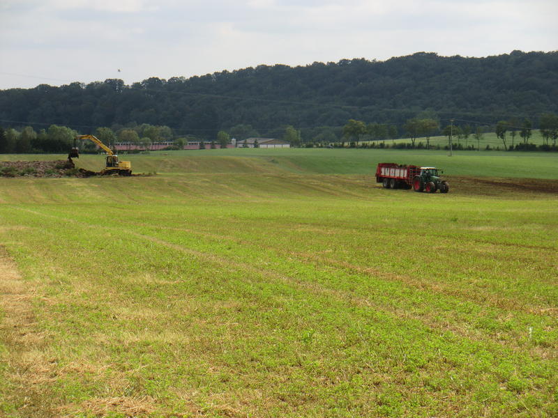 bilder/1_8_2011/CIMG3952.jpg
