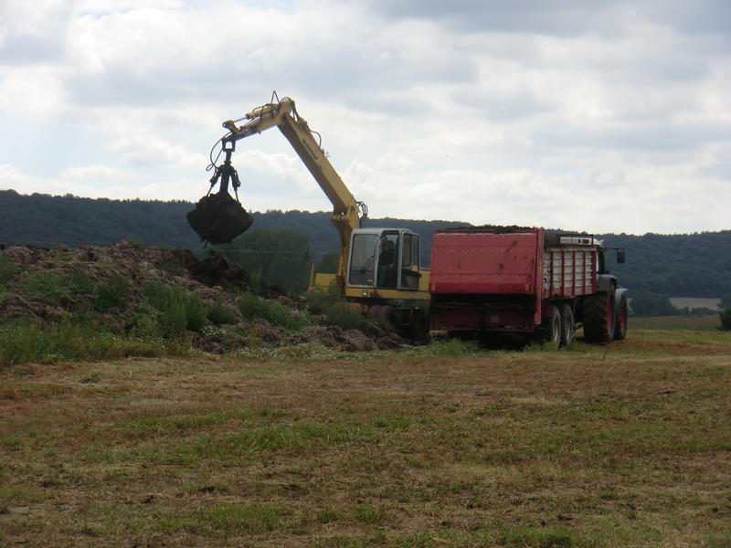 CIMG3959.jpg
