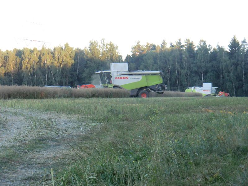 bilder/1_8_2012_2/CIMG9921.jpg