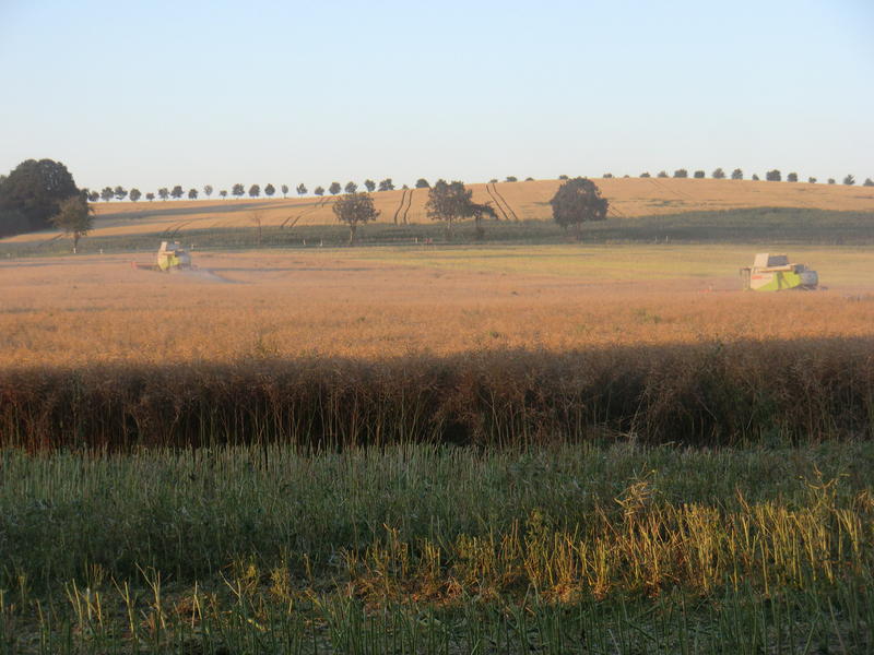 bilder/1_8_2012_2/CIMG9924.jpg