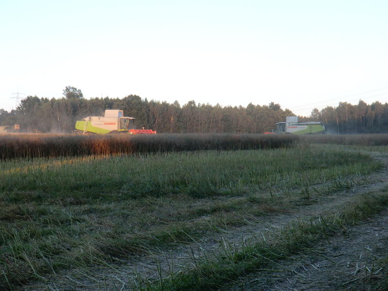CIMG9929.jpg