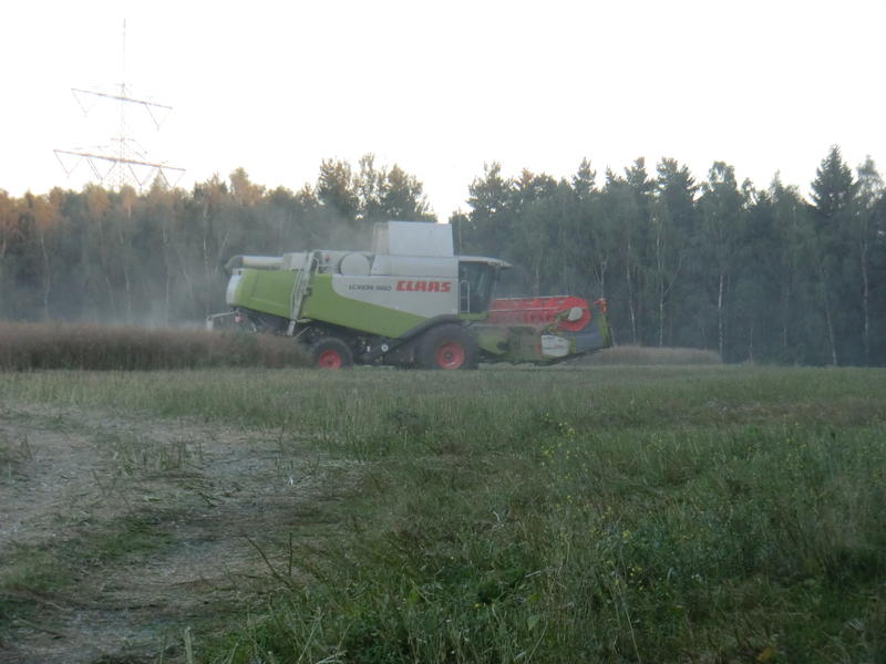 CIMG9931.jpg