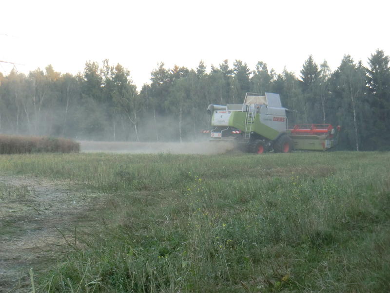 bilder/1_8_2012_2/CIMG9932.jpg