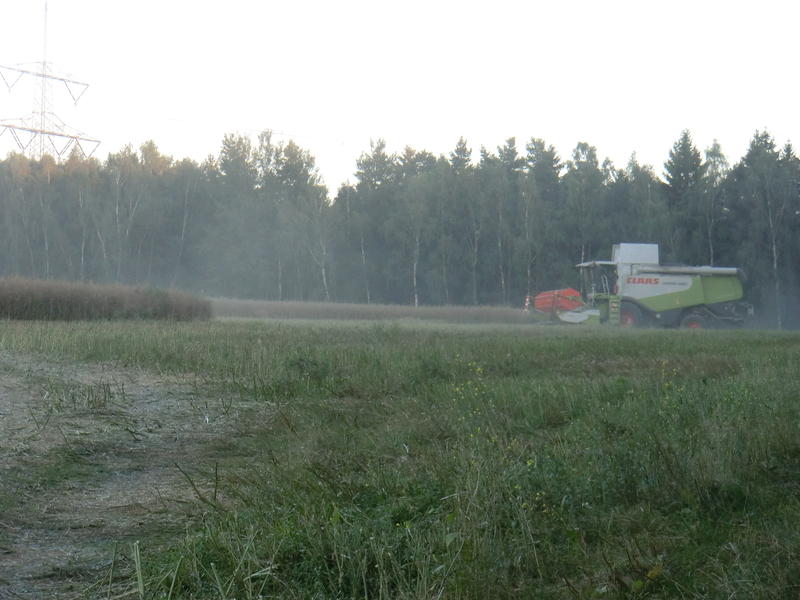 bilder/1_8_2012_2/CIMG9933.jpg