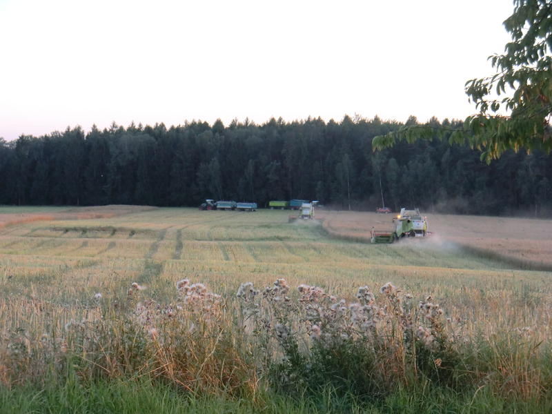 bilder/3_9_2004/lexion_12.jpg