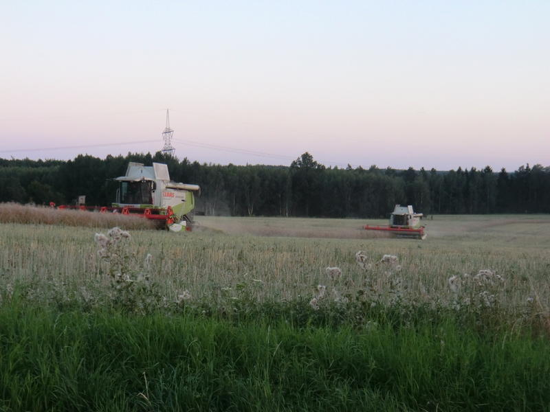 bilder/1_8_2012_2/CIMG9944.jpg
