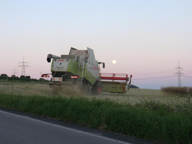 bilder/24_9_2011/CIMG5044.jpg