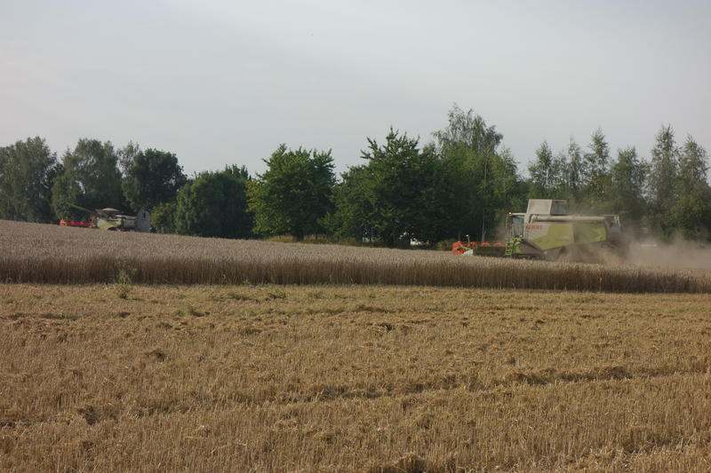 DSC09432.jpg
