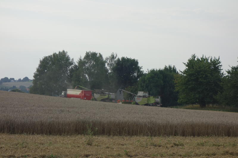 bilder/1_8_2017/DSC09435.jpg