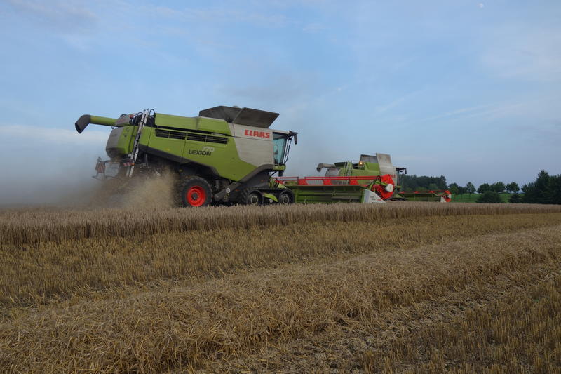 bilder/23_4_2003/terra_gator_8.jpg