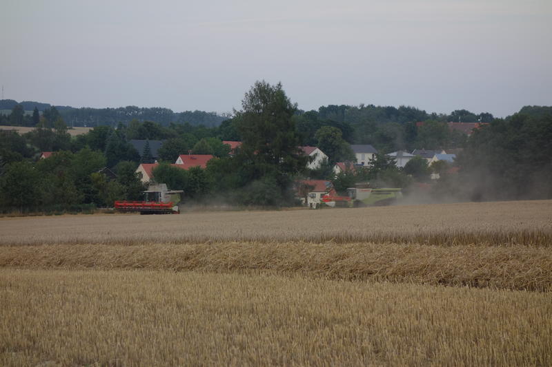 DSC09511.jpg
