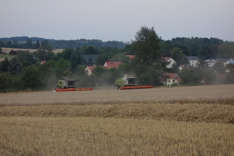 DSC09512.jpg