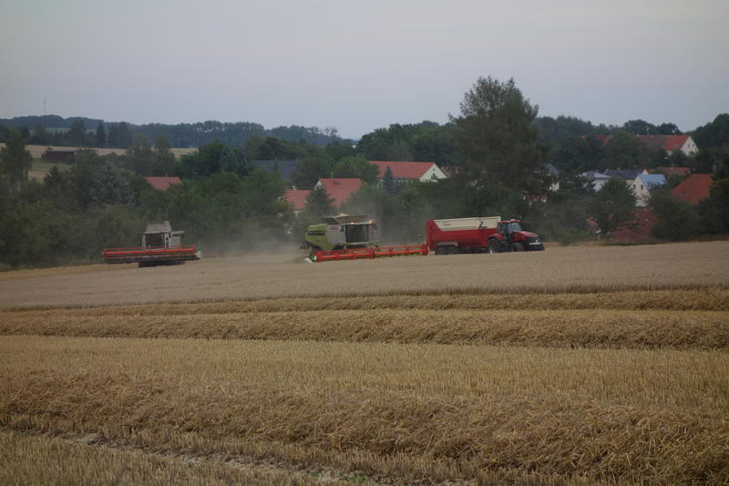 DSC09522.jpg