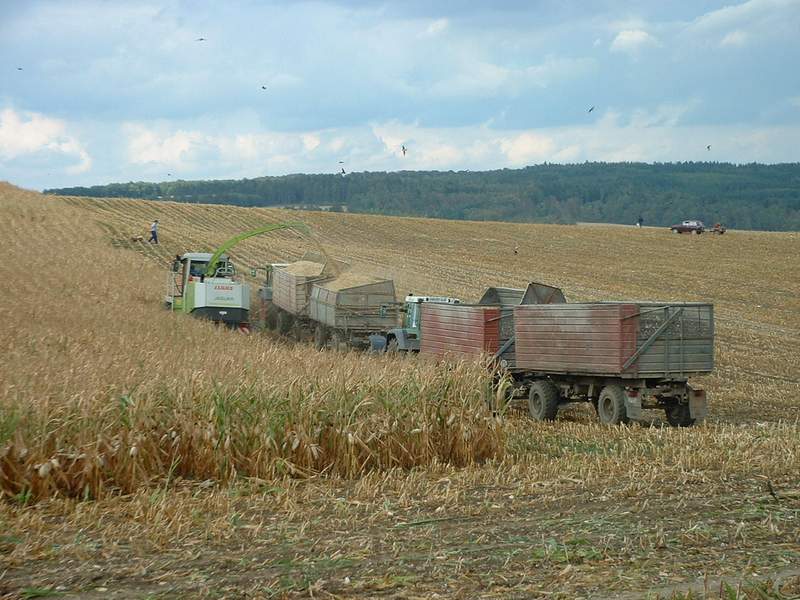 bilder/1_9_2003/jaguar_2x_fendt_3.jpg