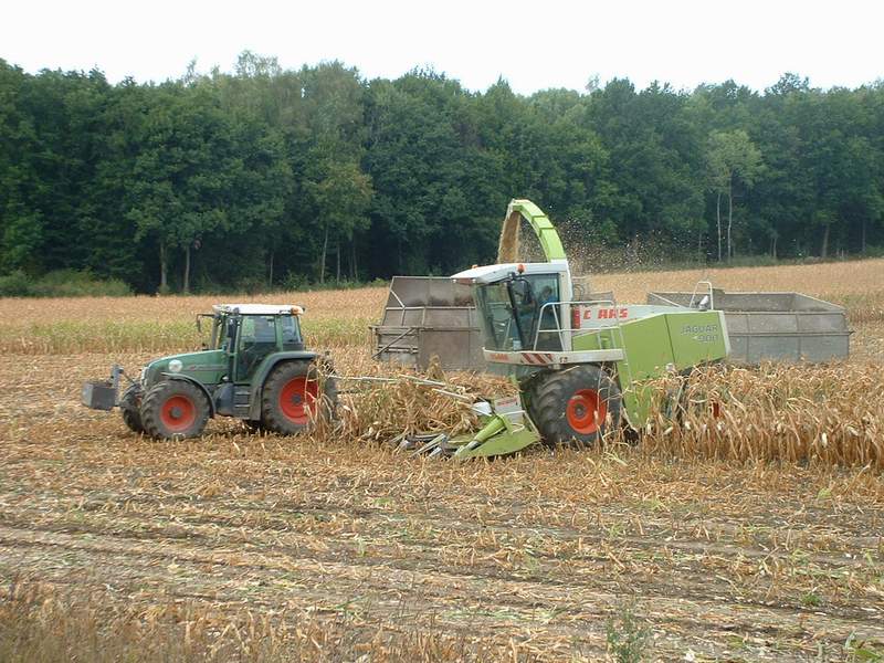 jaguar_fendt_10.jpg