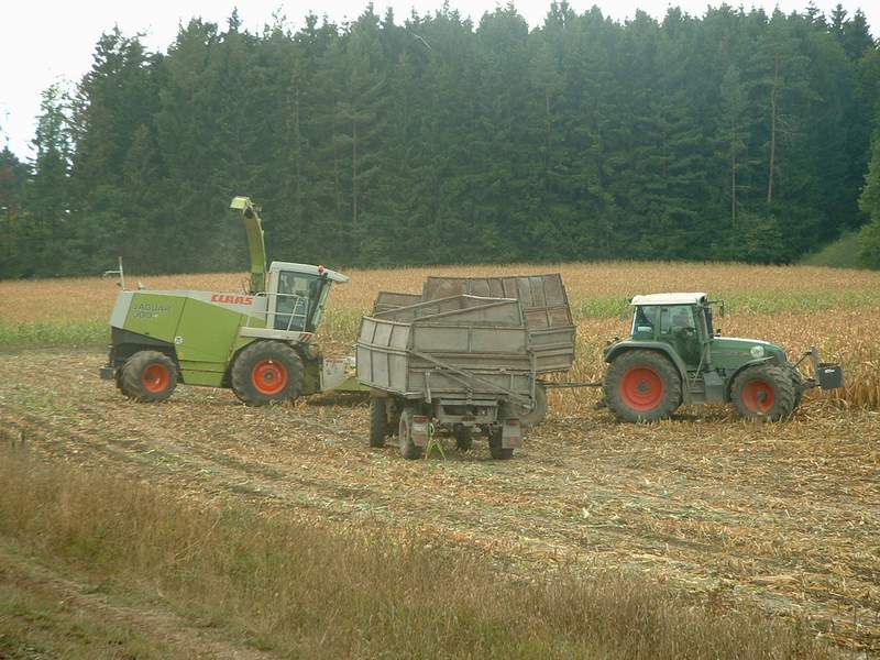 bilder/1_9_2003/jaguar_fendt_12.jpg
