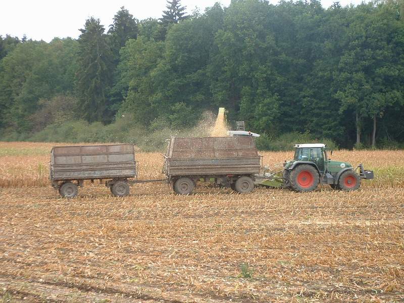 bilder/1_9_2003/jaguar_fendt_13.jpg
