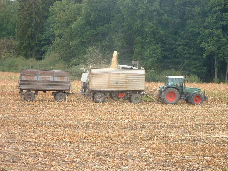 bilder/1_9_2003/jaguar_fendt_18.jpg