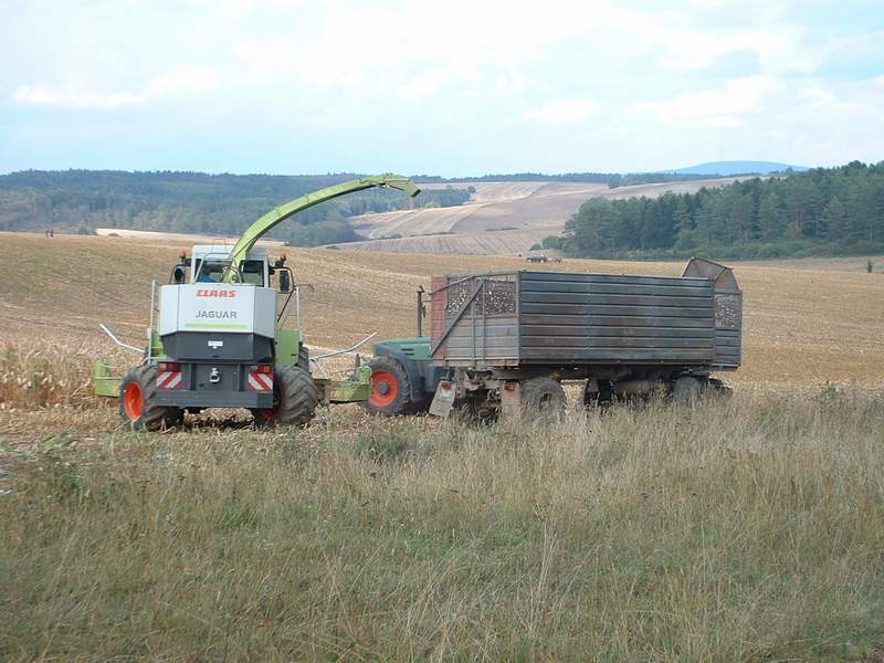 jaguar_fendt_20.jpg