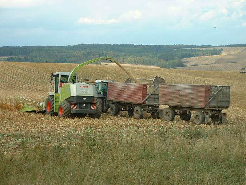 jaguar_fendt_21.jpg
