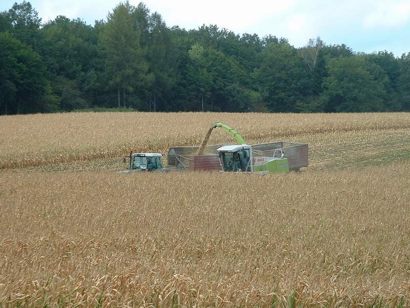 bilder/1_9_2003/jaguar_fendt_4.jpg