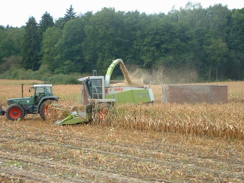 jaguar_fendt_5.jpg
