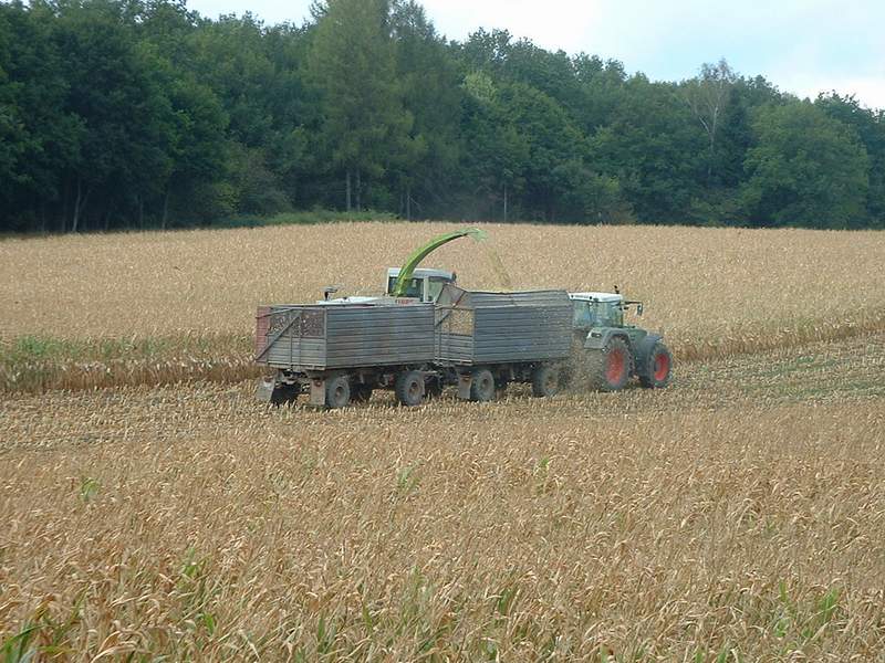 bilder/1_9_2003/jaguar_fendt_9.jpg