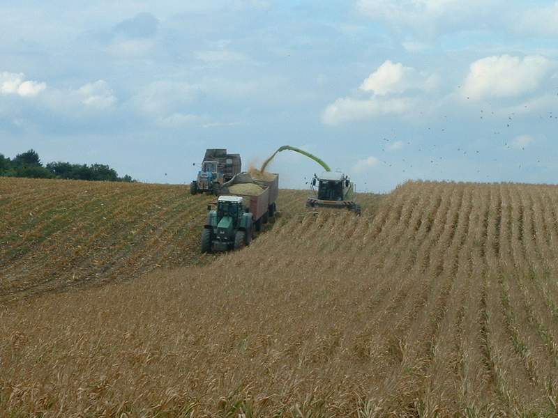 jaguar_fendt_zt_303.jpg