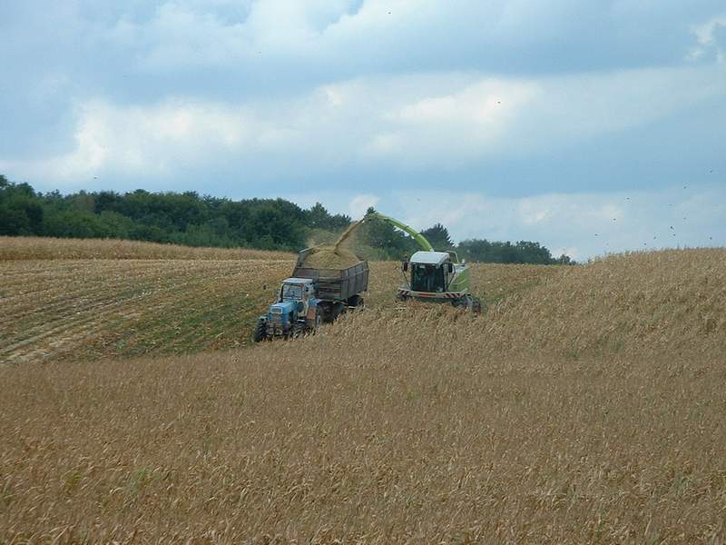 bilder/11_8_2012/CIMG0038.jpg