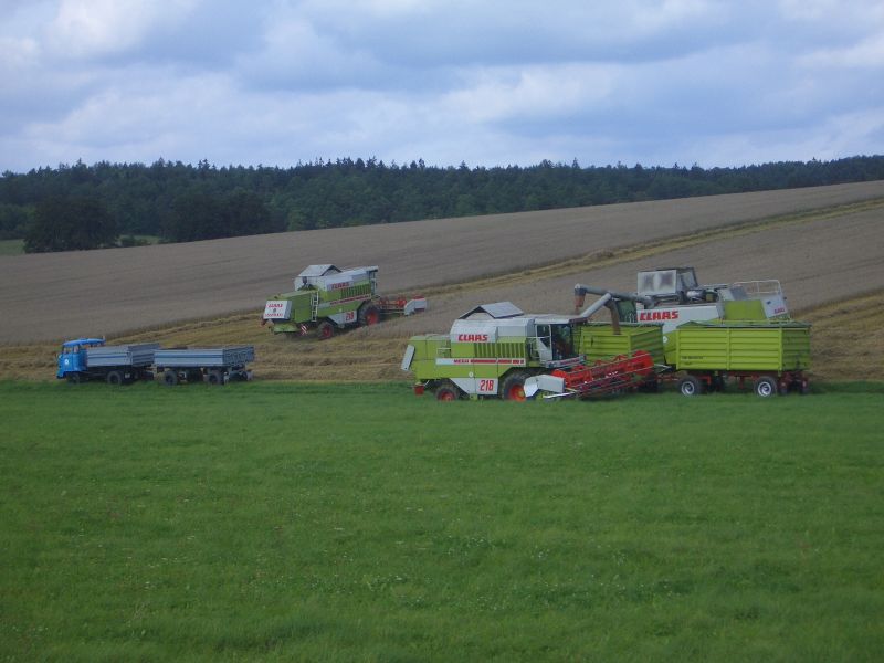 IMGP4803.jpg