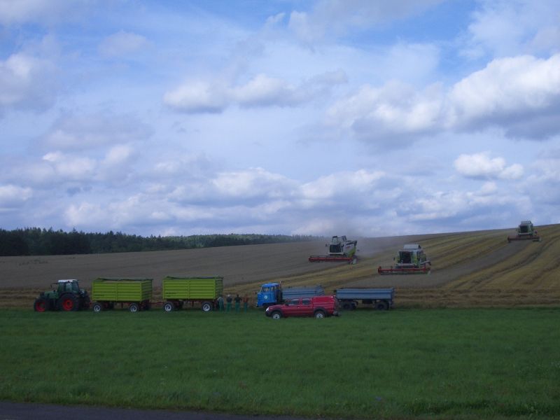 IMGP4820.jpg