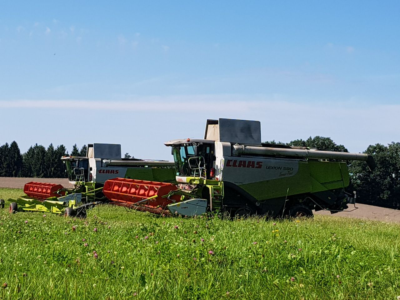 bilder/15_9_2017/DSC00347.jpg