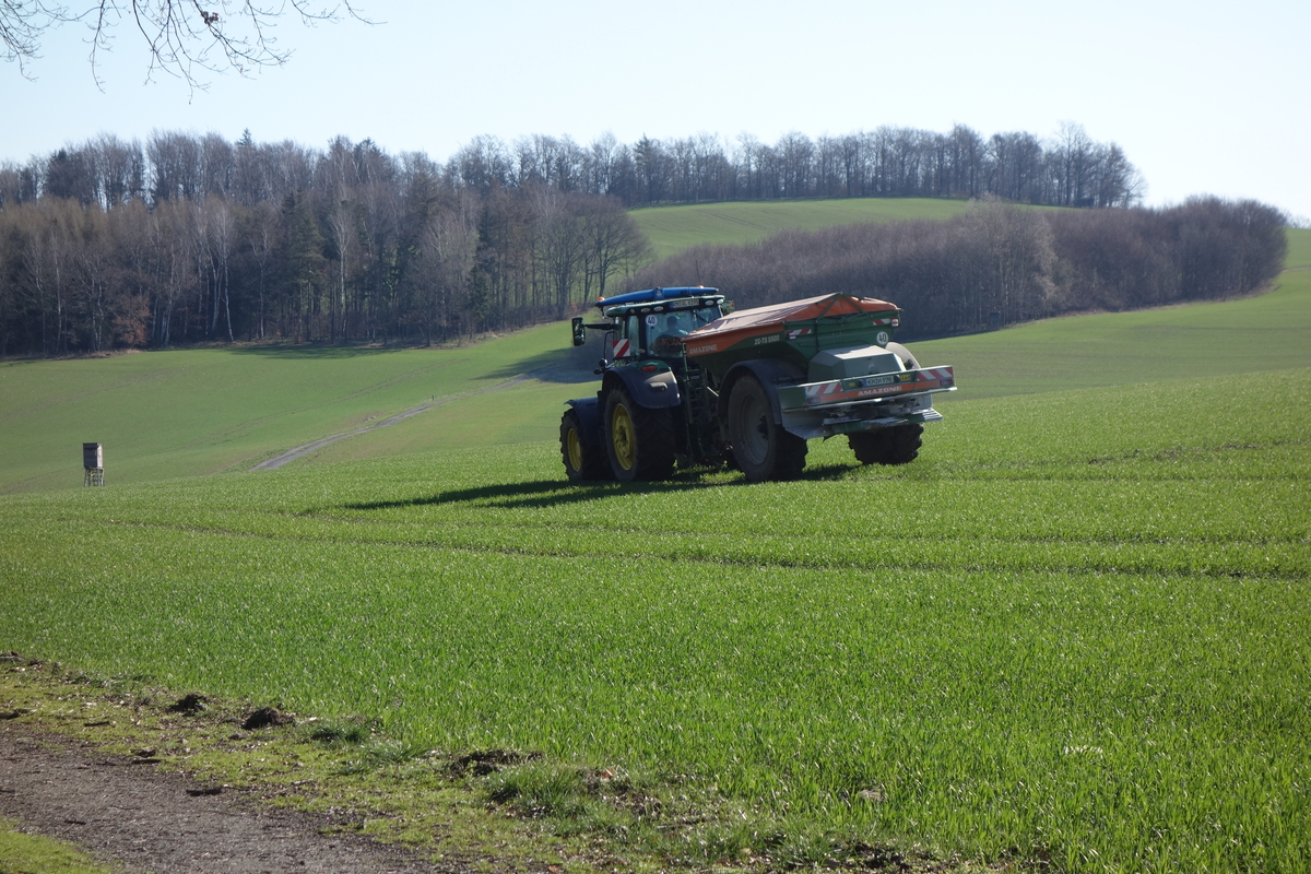bilder/11_8_2012/CIMG0036.jpg