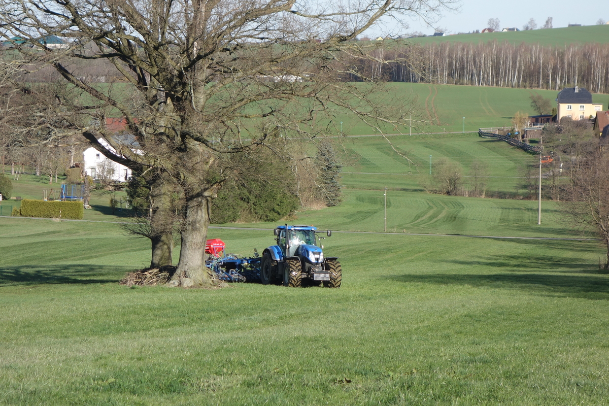 bilder/20_4_2013_2/CIMG7188.jpg